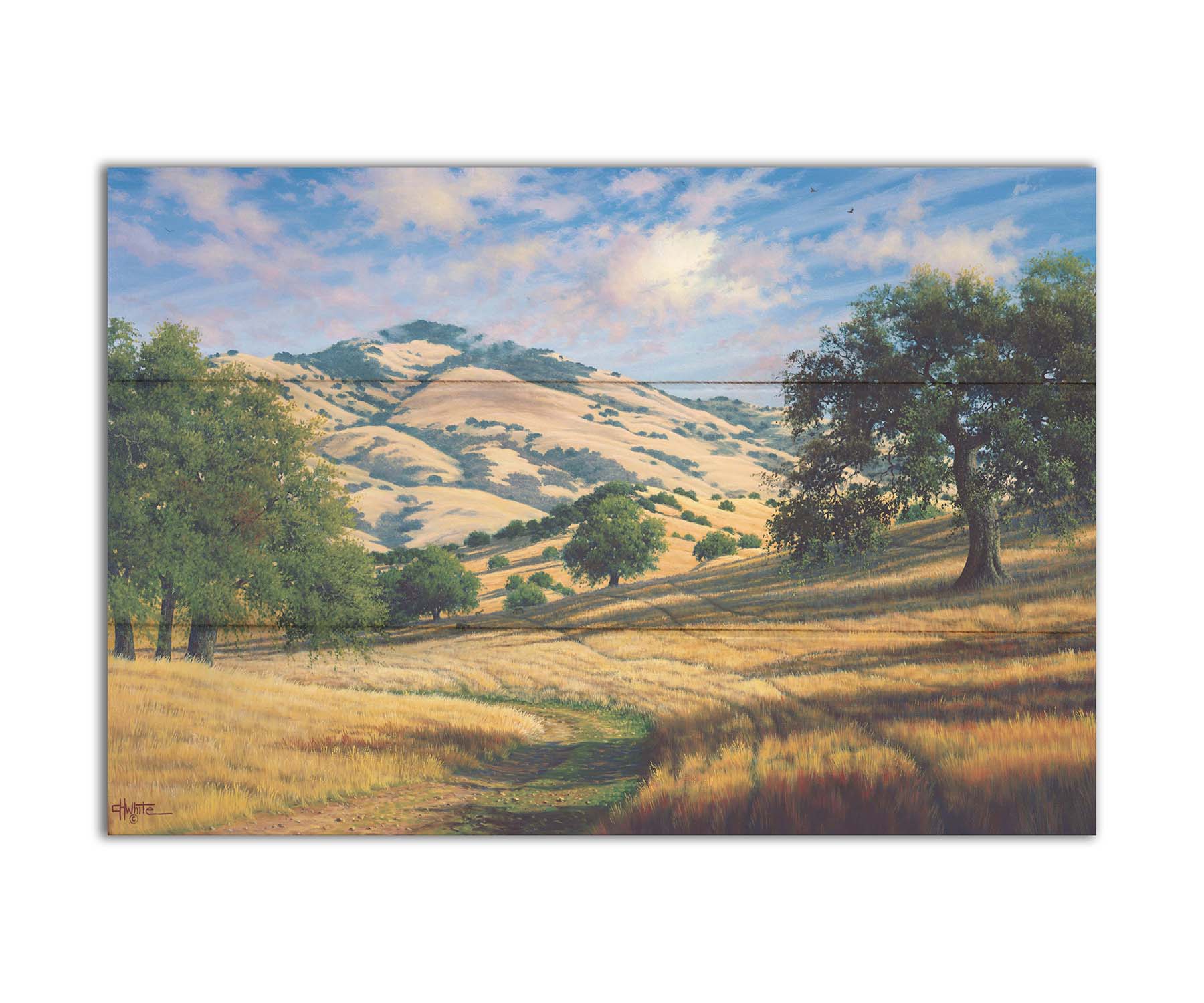 A painting of Mount Diablo, California, with grassy trails stretching into the distance. Printed on a box board.