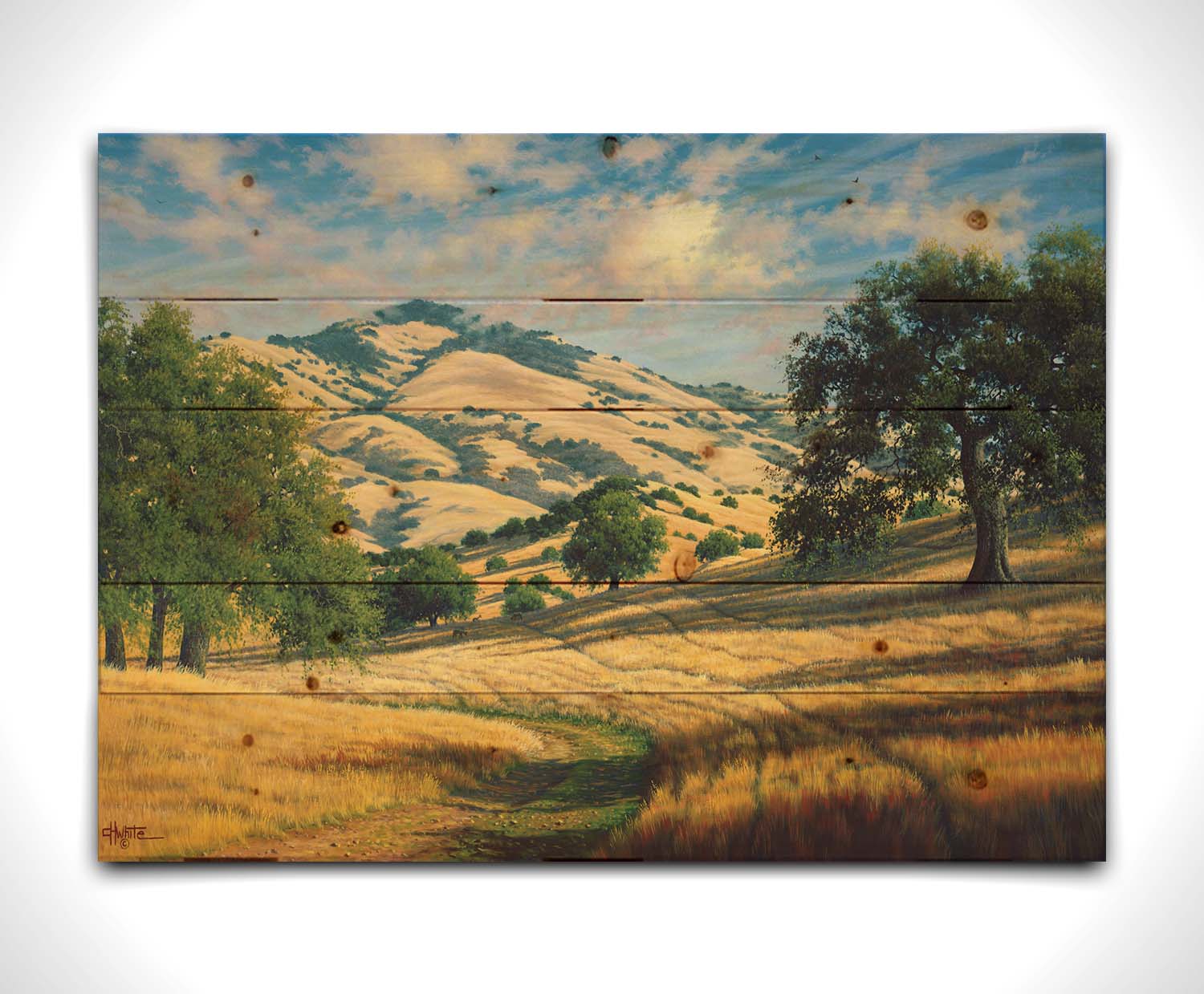 A painting of Mount Diablo, California, with grassy trails stretching into the distance. Printed on a wood pallet.