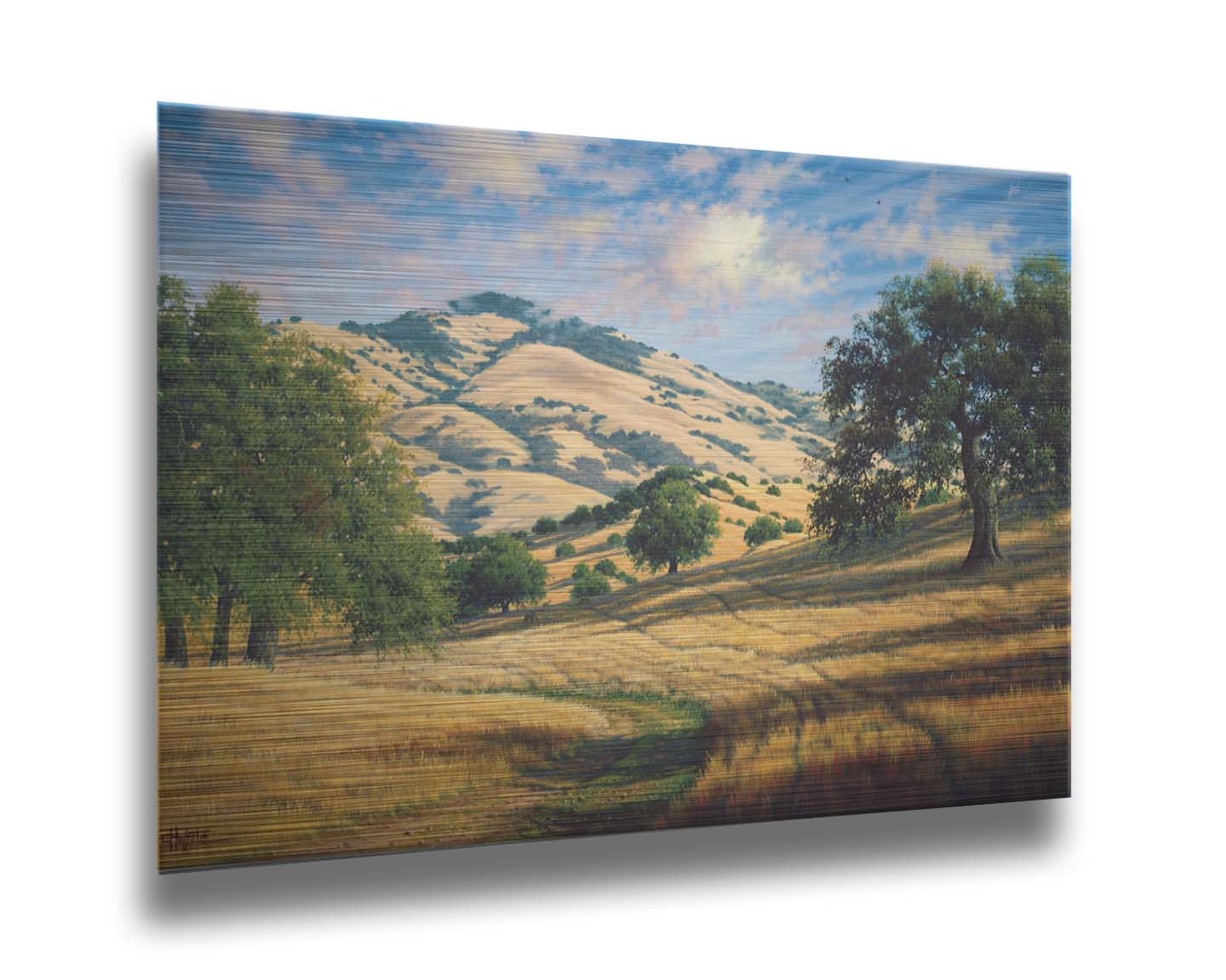 A painting of Mount Diablo, California, with grassy trails stretching into the distance. Printed on metal.