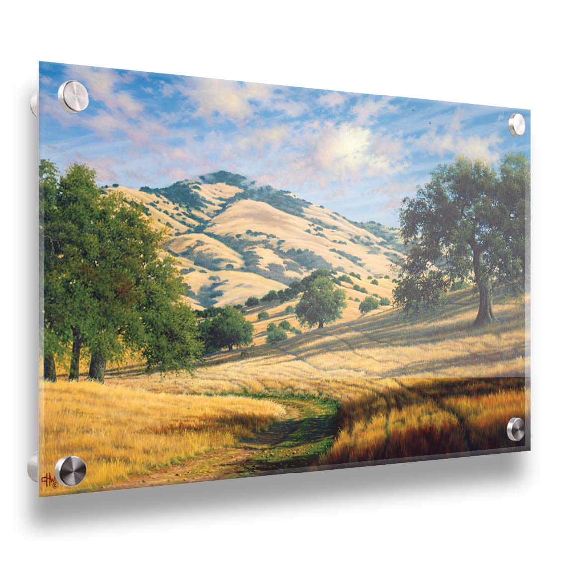 A painting of Mount Diablo, California, with grassy trails stretching into the distance. Printed on acrylic.