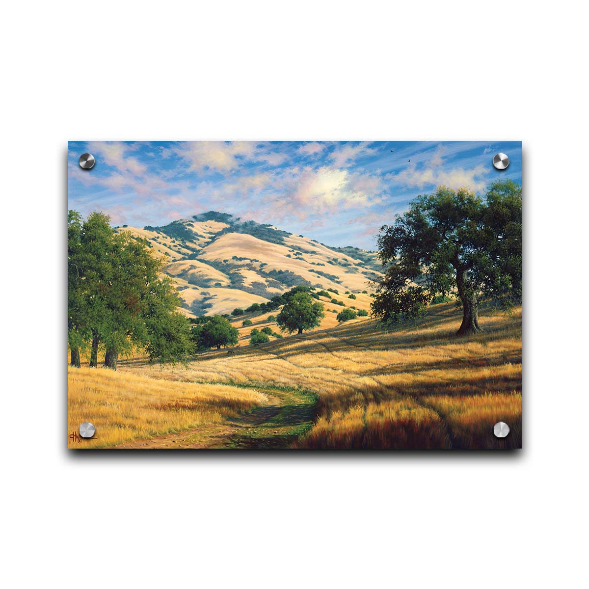 A painting of Mount Diablo, California, with grassy trails stretching into the distance. Printed on acrylic.