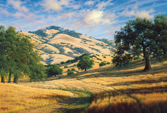 A painting of Mount Diablo, California, with grassy trails stretching into the distance.