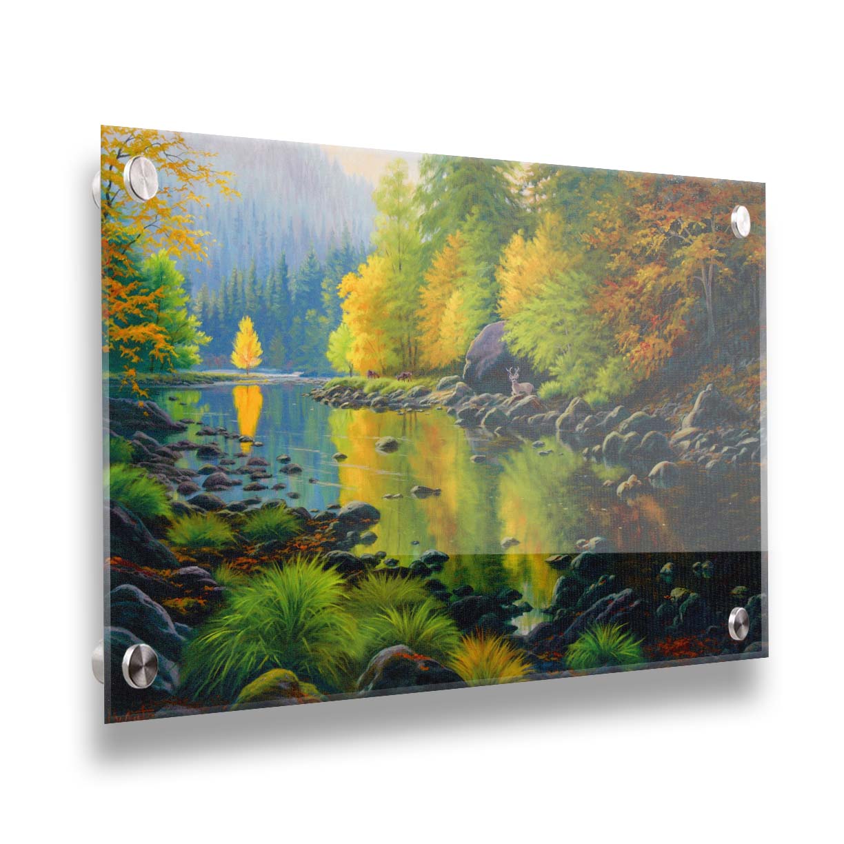 A painting of the Merced River in California. The bright greens and yellows of the forest trees are reflecting beautifully off the water. A few deer graze on the grasses alongside the river. Printed on acrylic.