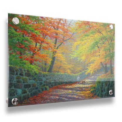 A painting of a stone road through a forest. It is bordered by stone walls on either side. The leaves of the trees are changing colors and dropping to the ground for fall. A person can be seen walking a leashed down further down the path. Printed on acrylic.