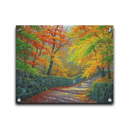 A painting of a stone road through a forest. It is bordered by stone walls on either side. The leaves of the trees are changing colors and dropping to the ground for fall. A person can be seen walking a leashed down further down the path. Printed on acrylic.