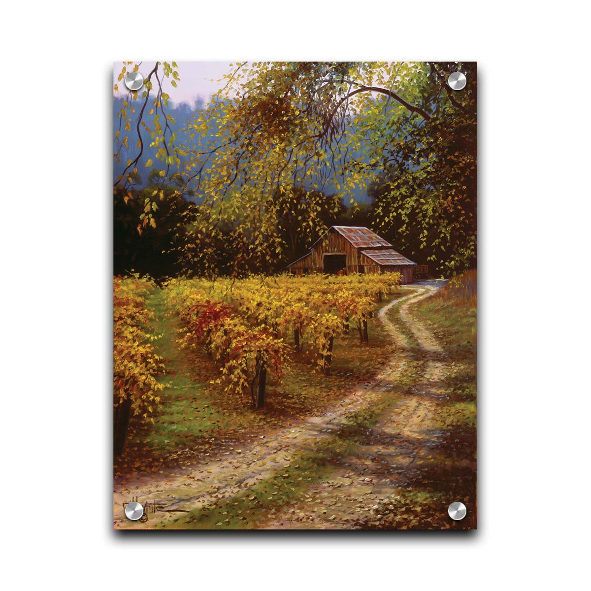 A painting of a dirt path passing a vineyard after harvest. At the far end of the path is a red barn. Printed on acrylic.