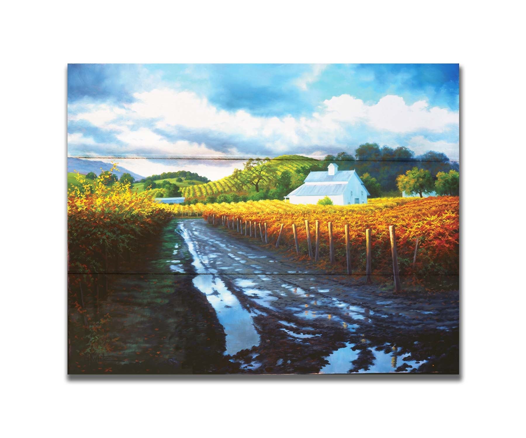 A painting looking down a road puddled with water. On either side, orange, red, and yellow grape vines grow in the vineyard. White barns and houses sit between the fields. Printed on a box board.