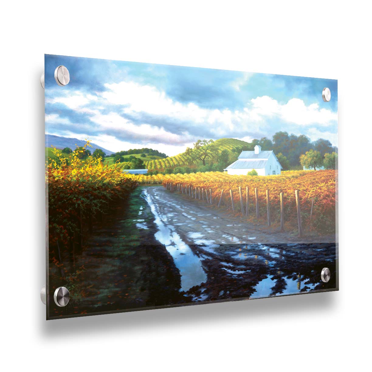 A painting looking down a road puddled with water. On either side, orange, red, and yellow grape vines grow in the vineyard. White barns and houses sit between the fields. Printed on acrylic.