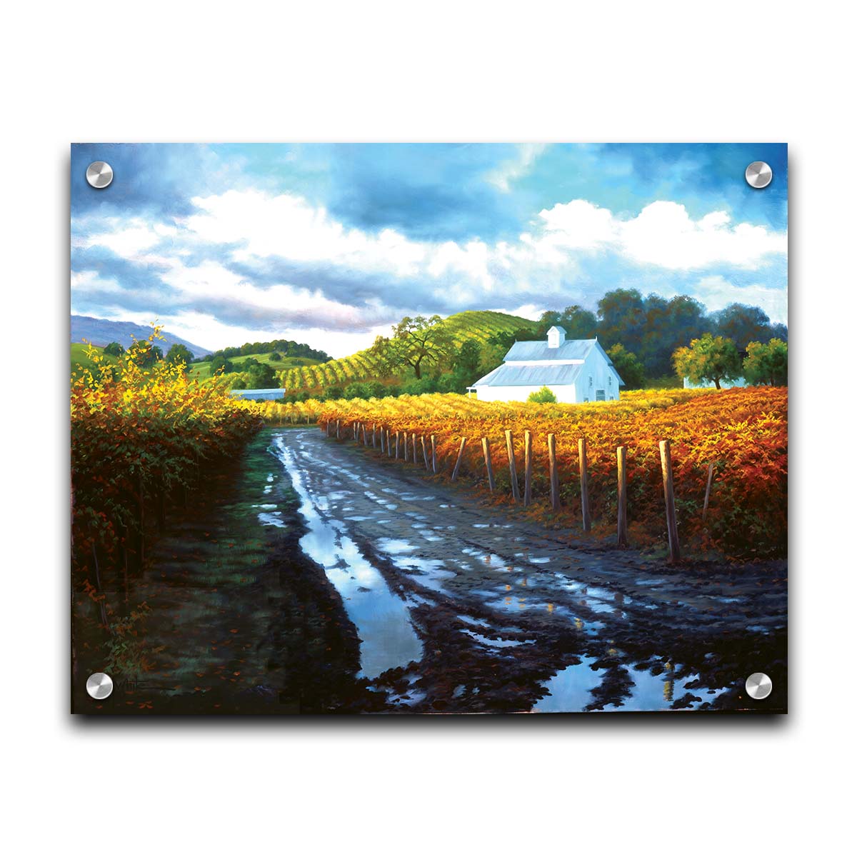 A painting looking down a road puddled with water. On either side, orange, red, and yellow grape vines grow in the vineyard. White barns and houses sit between the fields. Printed on acrylic.