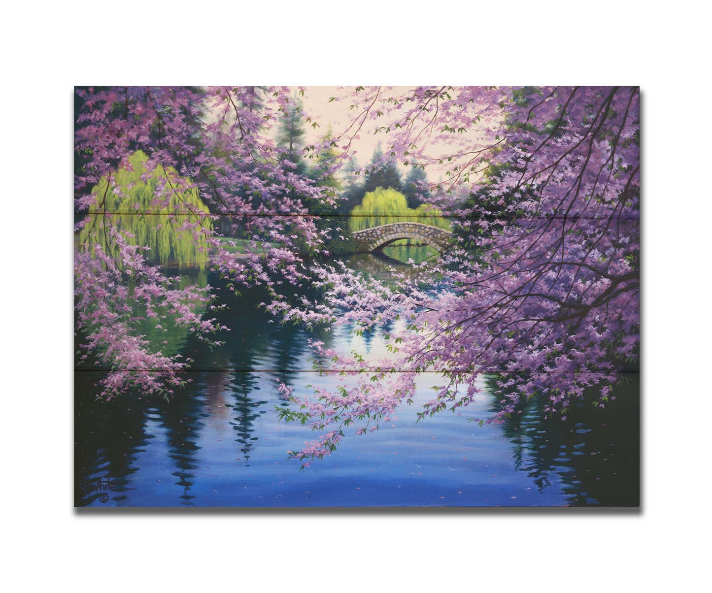 A painting of Beacon Hill Park in Victoria, British Columbia, Canada, during the springtime cherry blossom season. Pink blossoms over Goodacre Lake frame a stone bridge in the background. Printed on a box board.