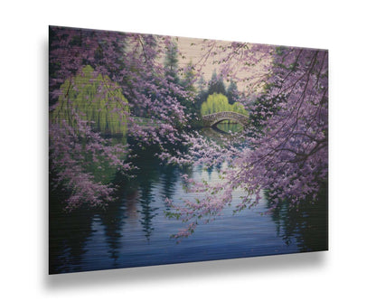 A painting of Beacon Hill Park in Victoria, British Columbia, Canada, during the springtime cherry blossom season. Pink blossoms over Goodacre Lake frame a stone bridge in the background. Printed on metal.