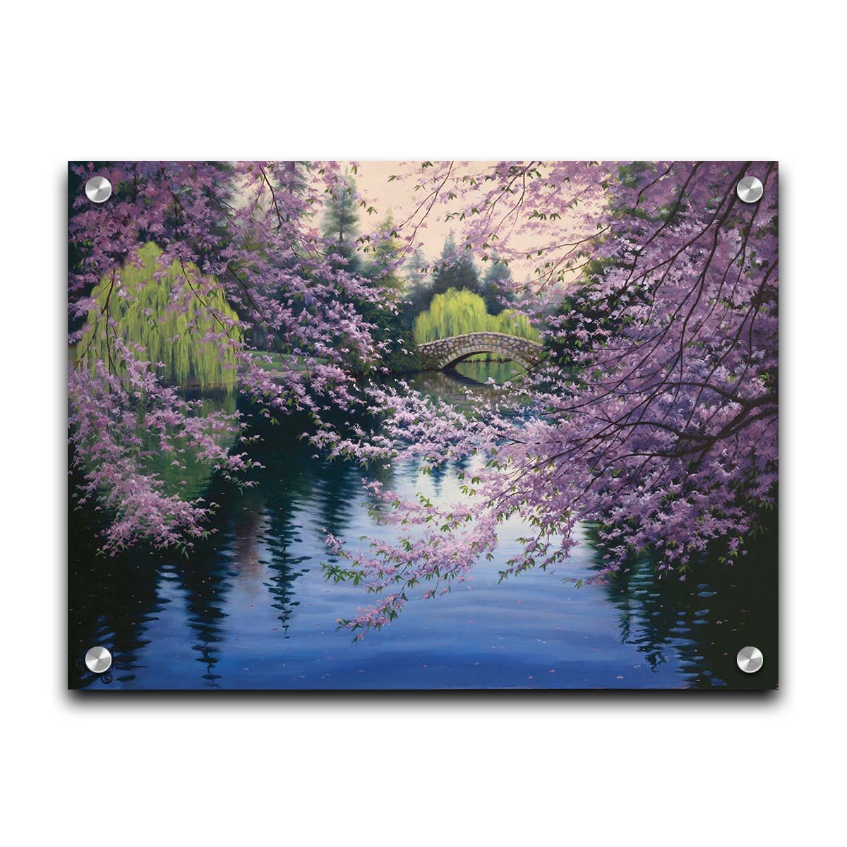 A painting of Beacon Hill Park in Victoria, British Columbia, Canada, during the springtime cherry blossom season. Pink blossoms over Goodacre Lake frame a stone bridge in the background. Printed on acrylic.