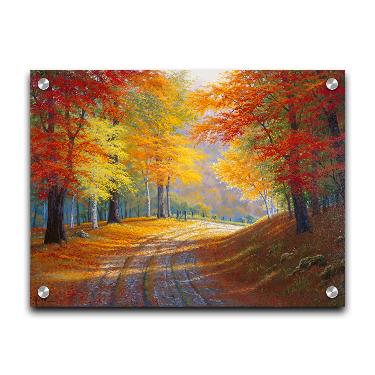 A painting of a gravel road through a forest in autumn. Orange red, and yellow leaves coat the ground and cover the trees, highlighted by bright sunlight. Printed on acrylic.