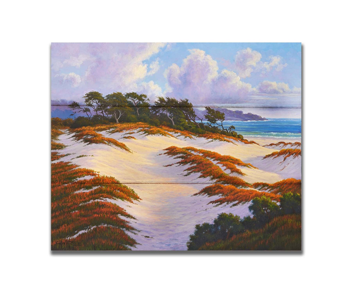 A painting of the Asilomar Dunes Natural Preserve in California. The white sand dune beach is complimented by red, green, and orange grasses. Printed on a box board.