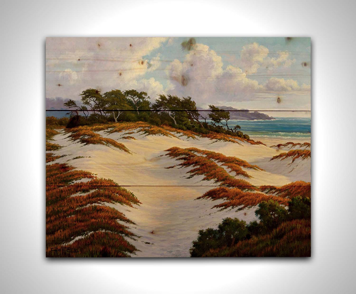 A painting of the Asilomar Dunes Natural Preserve in California. The white sand dune beach is complimented by red, green, and orange grasses. Printed on a wood pallet.