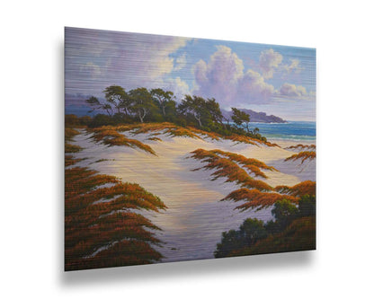 A painting of the Asilomar Dunes Natural Preserve in California. The white sand dune beach is complimented by red, green, and orange grasses. Printed on metal.