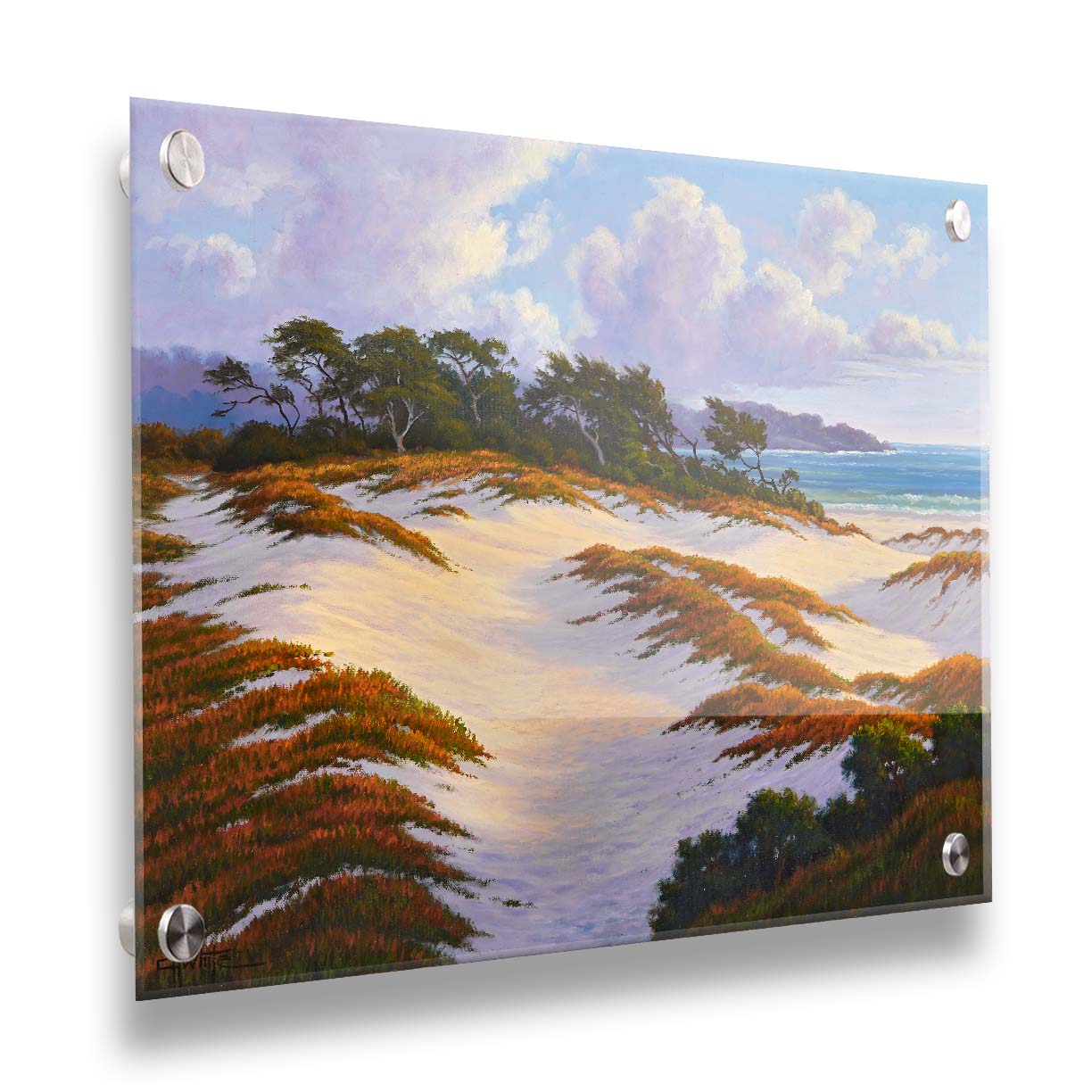 A painting of the Asilomar Dunes Natural Preserve in California. The white sand dune beach is complimented by red, green, and orange grasses. Printed on acrylic.