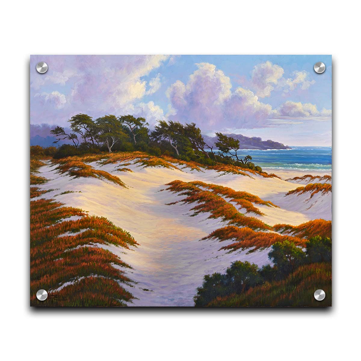 A painting of the Asilomar Dunes Natural Preserve in California. The white sand dune beach is complimented by red, green, and orange grasses. Printed on acrylic.