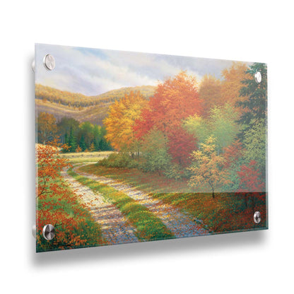 A painting of a forest in autumn, cut through by a gravel road curving into the distant fields and hills. Printed on acrylic.