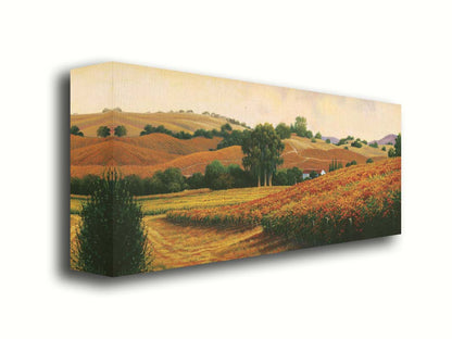 A painting of the Carneros Wine Company Vineyards in Napa, California during autumn. The oranges and yellows of the vineyard are contrasted by the deep green of the trees. Printed on canvas.