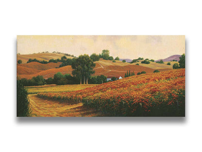 A painting of the Carneros Wine Company Vineyards in Napa, California during autumn. The oranges and yellows of the vineyard are contrasted by the deep green of the trees. Printed on canvas.