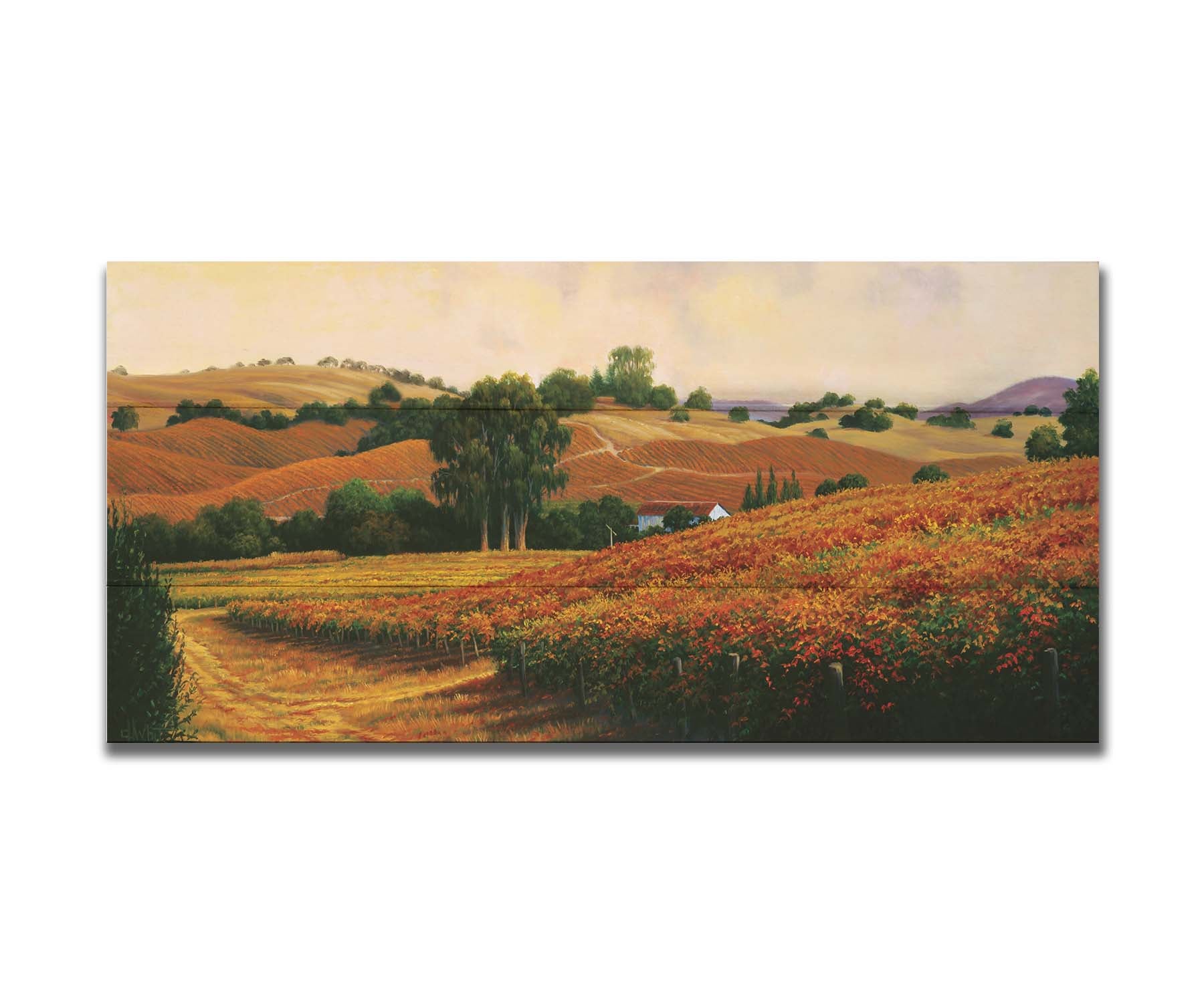 A painting of the Carneros Wine Company Vineyards in Napa, California during autumn. The oranges and yellows of the vineyard are contrasted by the deep green of the trees. Printed on a box board.