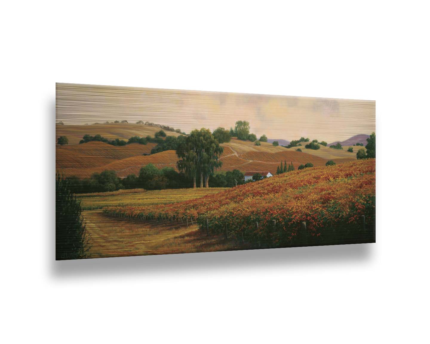 A painting of the Carneros Wine Company Vineyards in Napa, California during autumn. The oranges and yellows of the vineyard are contrasted by the deep green of the trees. Printed on metal.