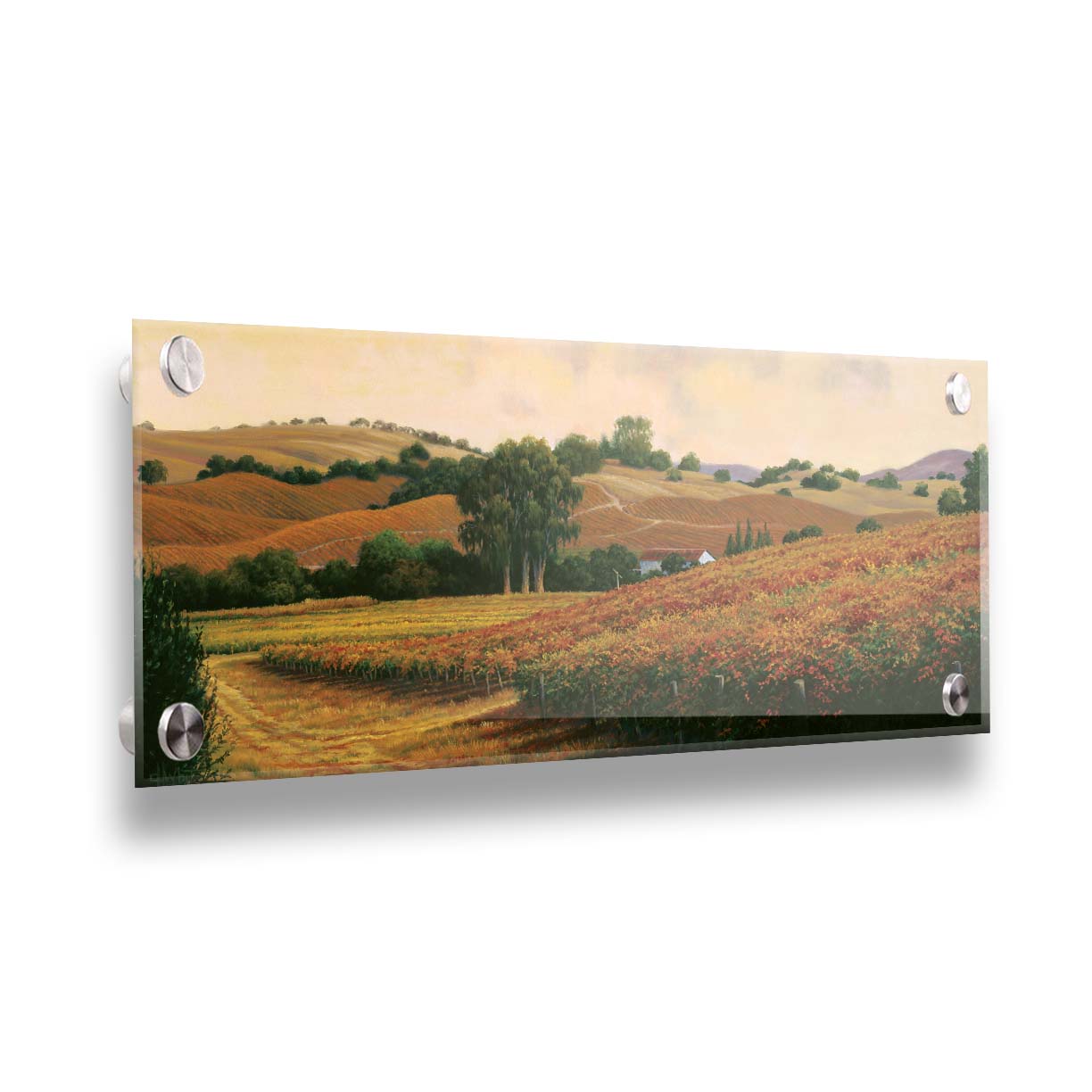 A painting of the Carneros Wine Company Vineyards in Napa, California during autumn. The oranges and yellows of the vineyard are contrasted by the deep green of the trees. Printed on acrylic.