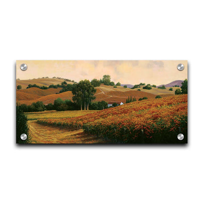 A painting of the Carneros Wine Company Vineyards in Napa, California during autumn. The oranges and yellows of the vineyard are contrasted by the deep green of the trees. Printed on acrylic.