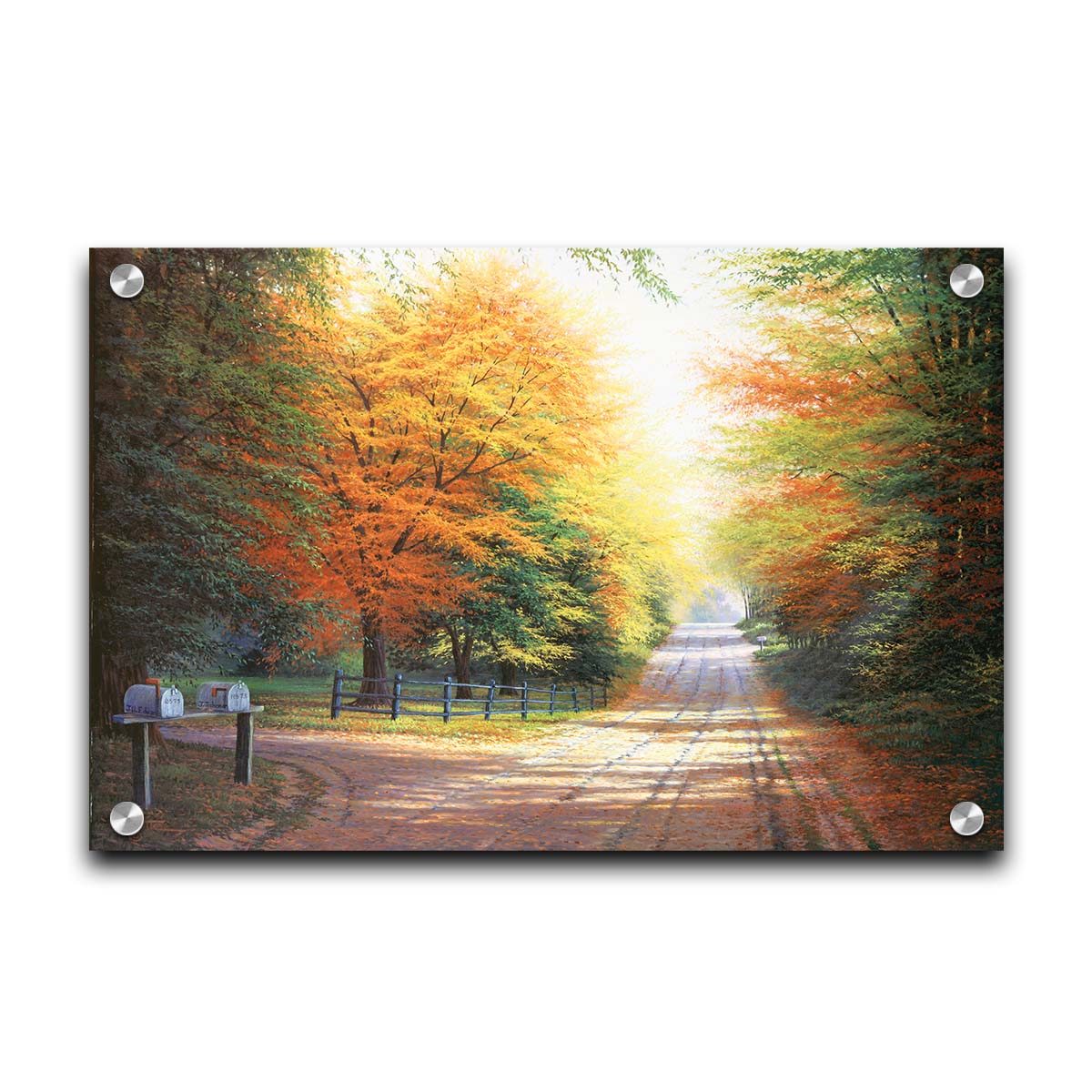 A painting of a gravel road, leading past a driveway with mailboxes and a quaint fence. All sides of the road are lined with trees, many of whose leaves have turned yellow and orange for fall. Printed on acrylic.