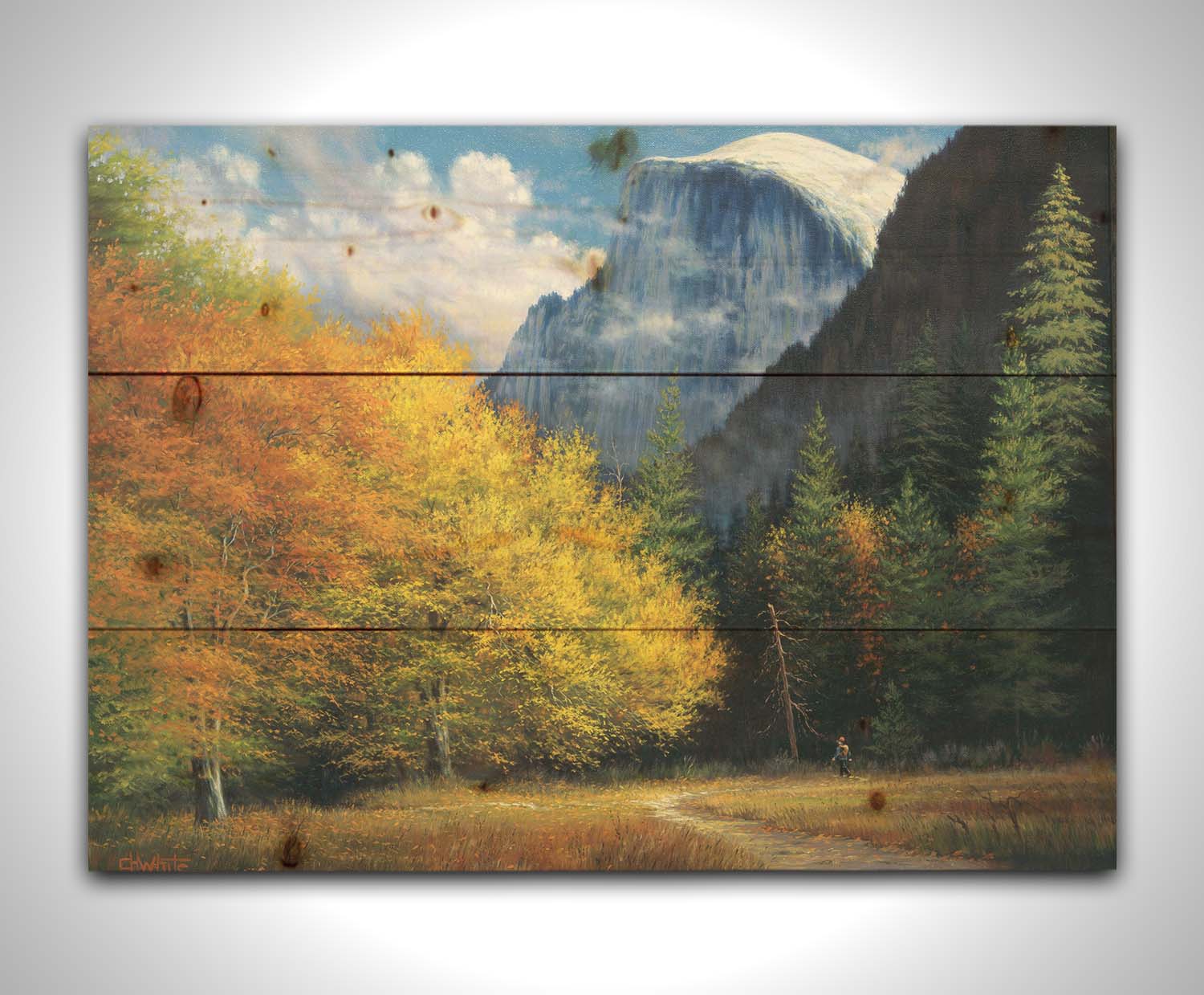 A painting of Yosemite National Park, with the iconic Half Dome batholith surrounded by wispy clouds. The fall foliage lines the trail to the summit. Printed on a wood pallet.