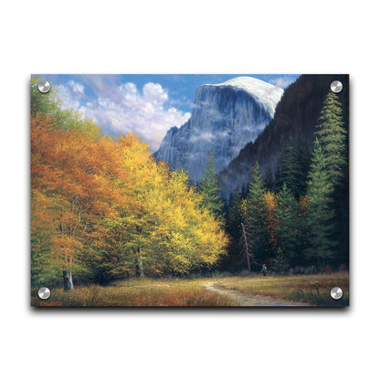 A painting of Yosemite National Park, with the iconic Half Dome batholith surrounded by wispy clouds. The fall foliage lines the trail to the summit. Printed on acrylic.