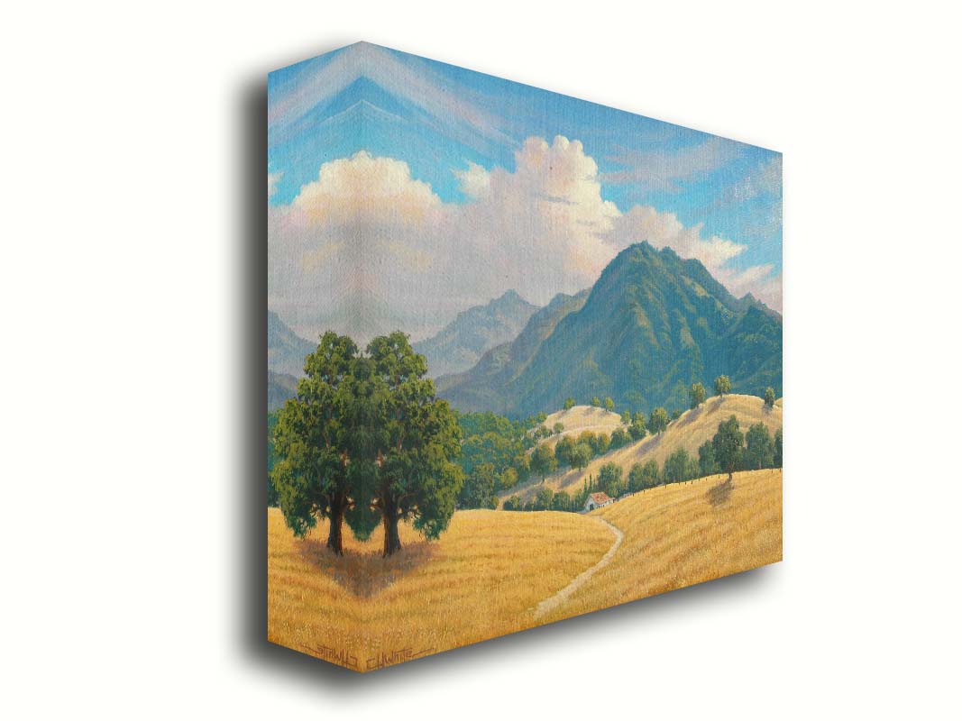 A painting of Mt. Diablo in the San Francisco Bay Area in California, as seen from Marsh Creek. Rolling hills of golden grasses lead up to the green forested mountains. Printed on canvas.