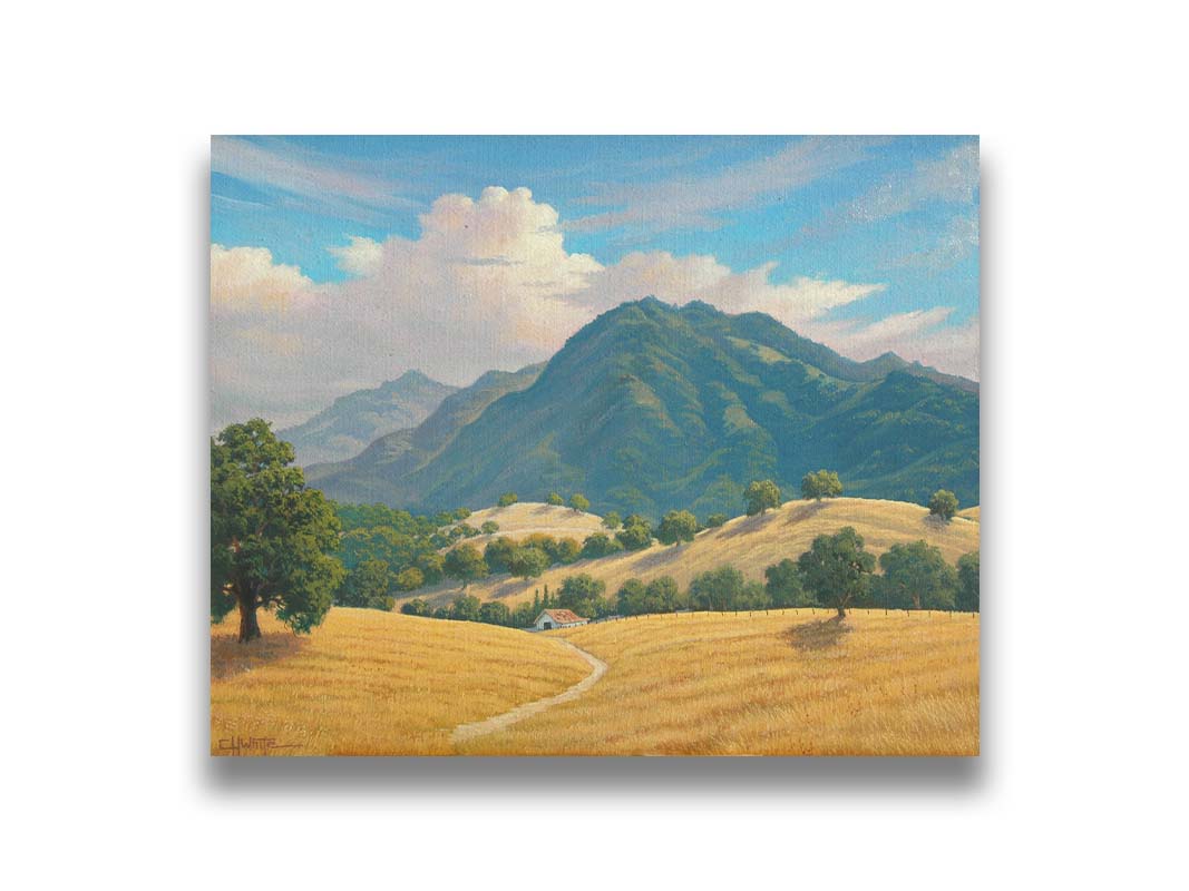 A painting of Mt. Diablo in the San Francisco Bay Area in California, as seen from Marsh Creek. Rolling hills of golden grasses lead up to the green forested mountains. Printed on canvas.