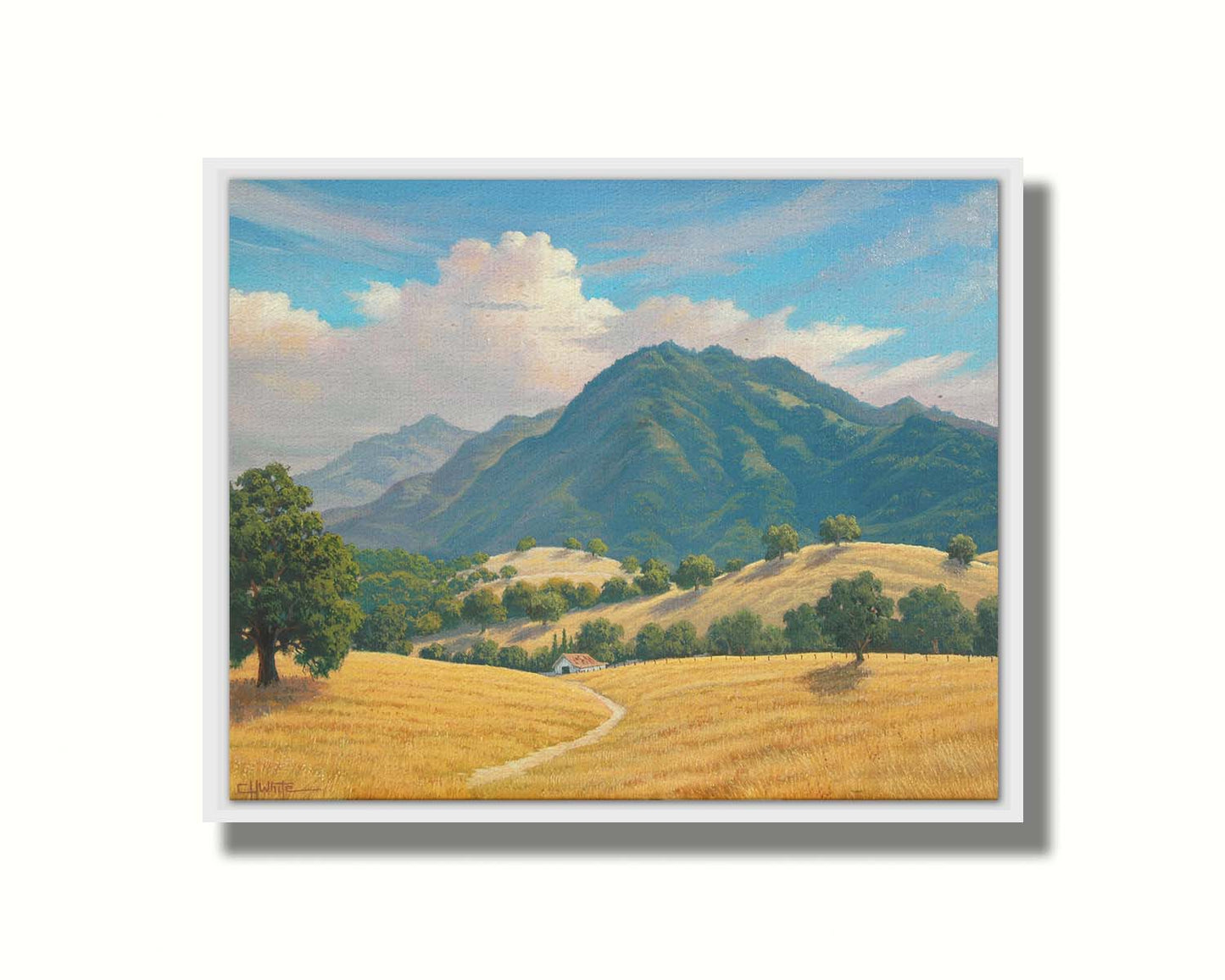 A painting of Mt. Diablo in the San Francisco Bay Area in California, as seen from Marsh Creek. Rolling hills of golden grasses lead up to the green forested mountains. Printed on canvas in a float frame.