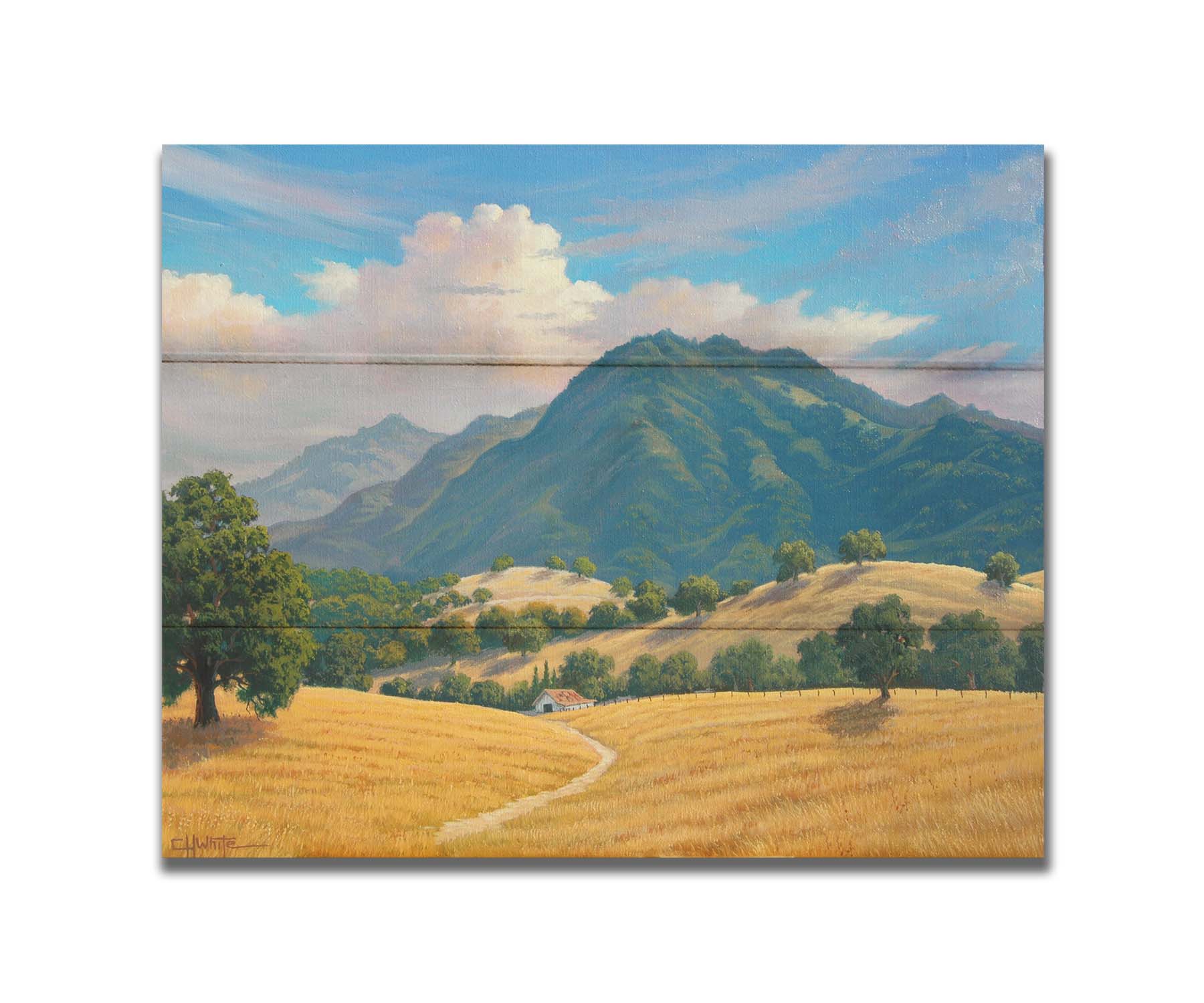 A painting of Mt. Diablo in the San Francisco Bay Area in California, as seen from Marsh Creek. Rolling hills of golden grasses lead up to the green forested mountains. Printed on a box board.