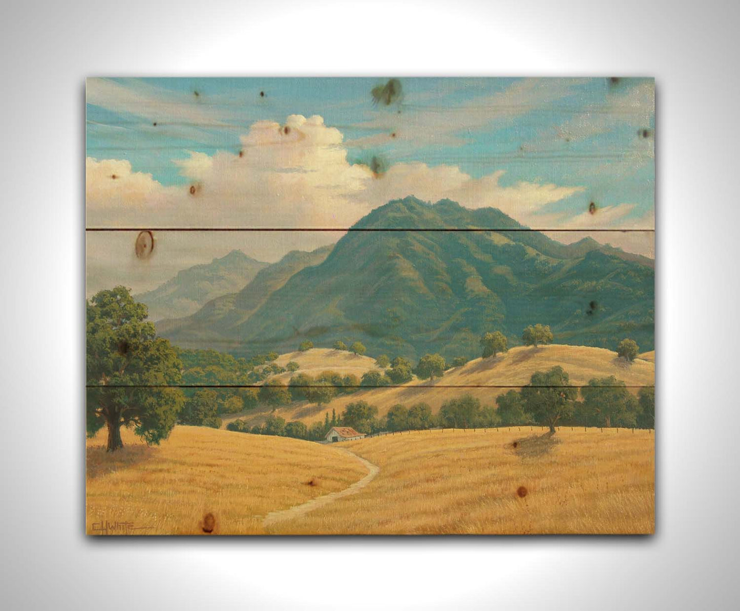 A painting of Mt. Diablo in the San Francisco Bay Area in California, as seen from Marsh Creek. Rolling hills of golden grasses lead up to the green forested mountains. Printed on a wood pallet.