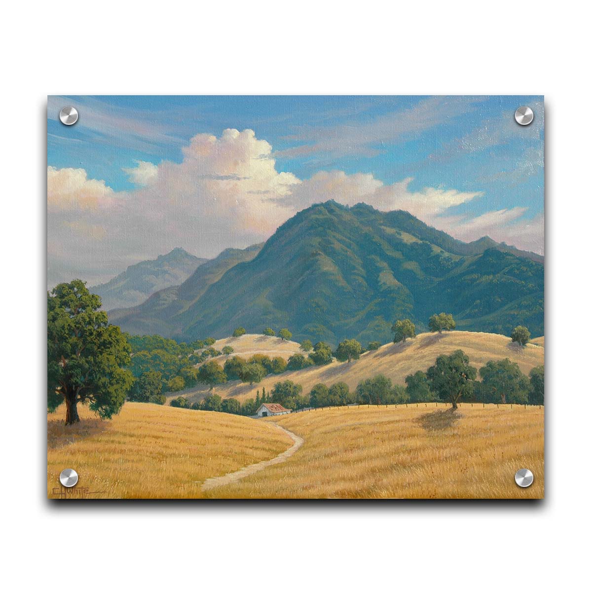 A painting of Mt. Diablo in the San Francisco Bay Area in California, as seen from Marsh Creek. Rolling hills of golden grasses lead up to the green forested mountains. Printed on acrylic.