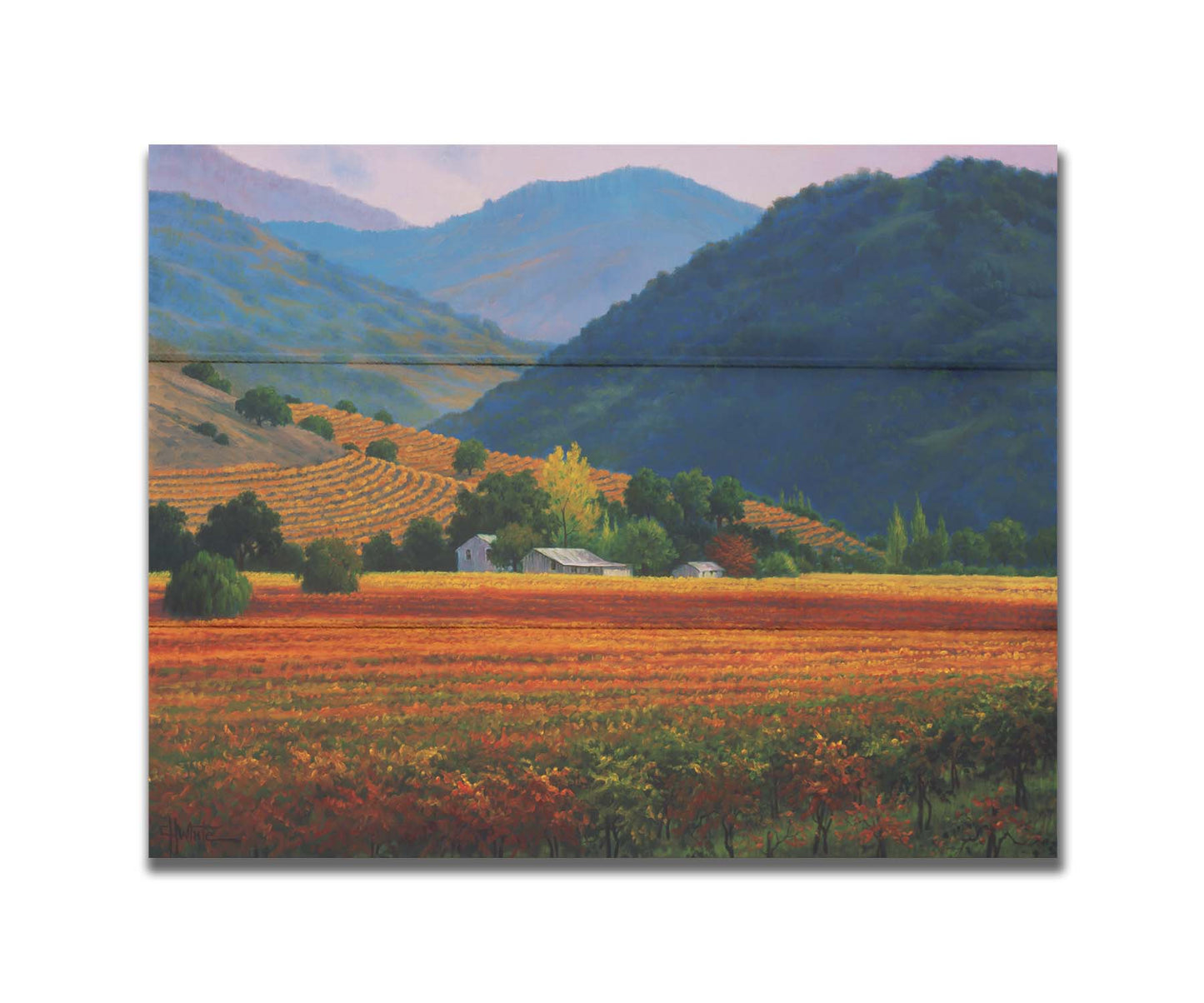 A landscape painting of the Napa Valley wine region in California. Colorful orange, red, and green vineyards are nestled among forested mountains. Printed on a box board.