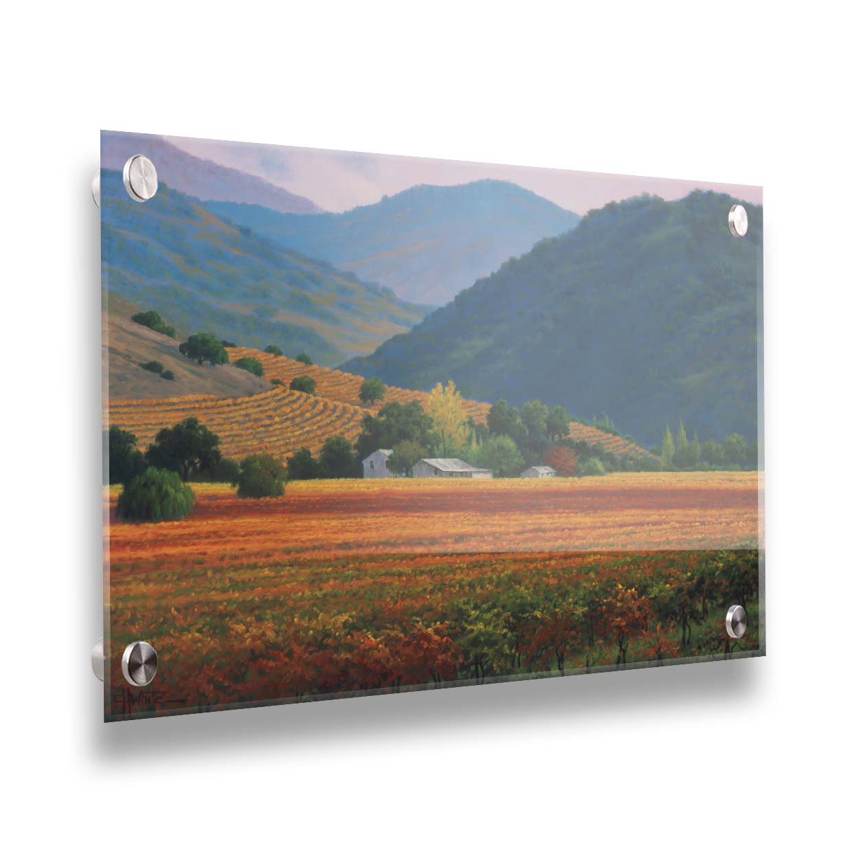 A landscape painting of the Napa Valley wine region in California. Colorful orange, red, and green vineyards are nestled among forested mountains. Printed on acrylic.