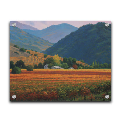 A landscape painting of the Napa Valley wine region in California. Colorful orange, red, and green vineyards are nestled among forested mountains. Printed on acrylic.