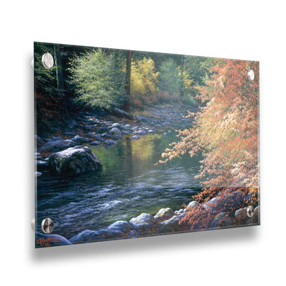 A painting of a fall river scene, following the flowing waters of the Merced River in Yosemite National Park. Printed on acrylic.