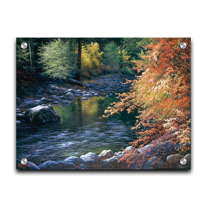 A painting of a fall river scene, following the flowing waters of the Merced River in Yosemite National Park. Printed on acrylic.