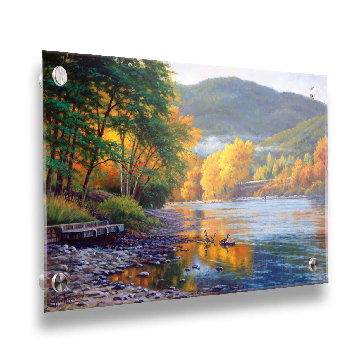 A landscape painting of the vibrant orange and yellow trees of the Rogue River in Oregon, with a few geese waddling in the shallows by the rocky shore. Printed on acrylic.