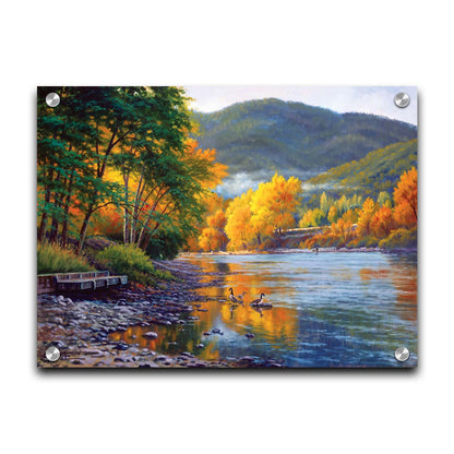 A landscape painting of the vibrant orange and yellow trees of the Rogue River in Oregon, with a few geese waddling in the shallows by the rocky shore. Printed on acrylic.