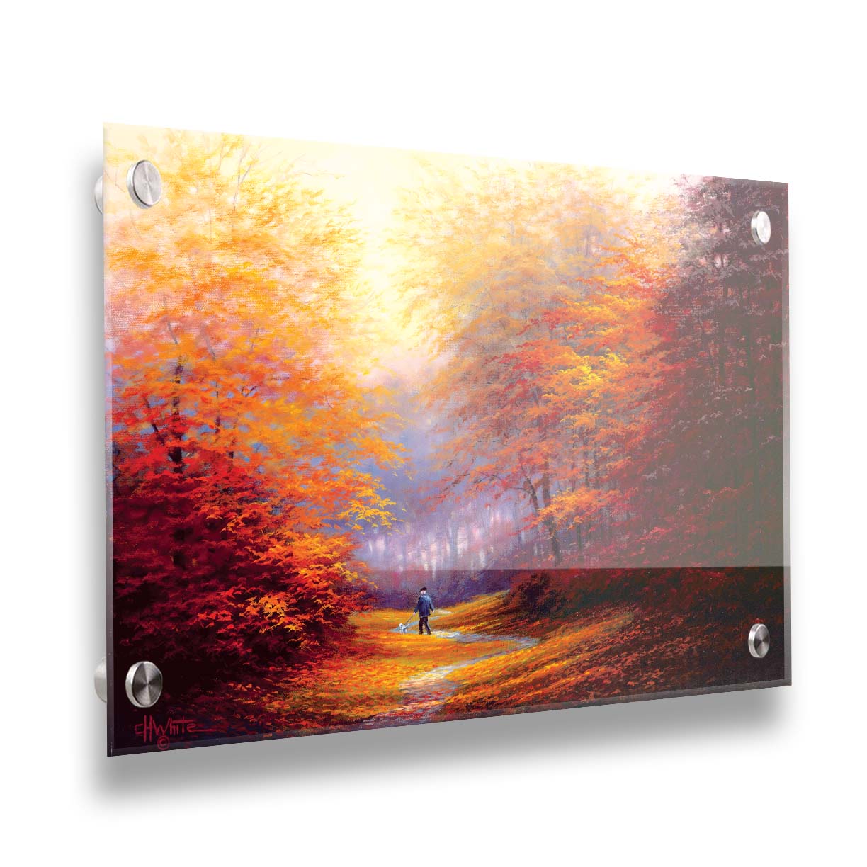 A painting of resplendent orange and red trees, a winding sidewalk through the woods, and a person walking their dog along the path. Printed on acrylic.