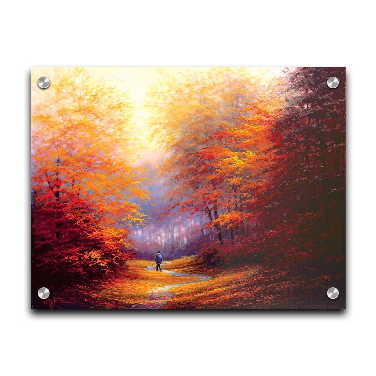 A painting of resplendent orange and red trees, a winding sidewalk through the woods, and a person walking their dog along the path. Printed on acrylic.