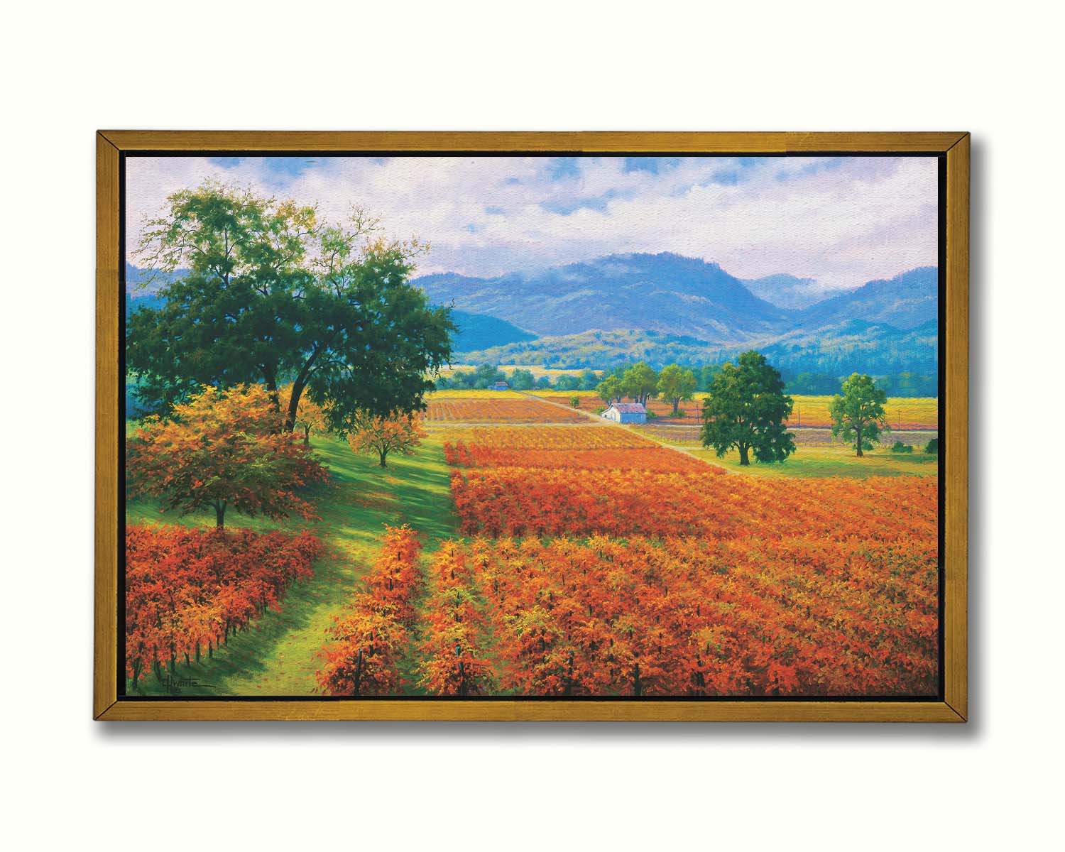 A painting of Napa Valley, California vineyards. The vibrant orange crops against the lush green grass create a picturesque landscape. Printed on canvas in a float frame.