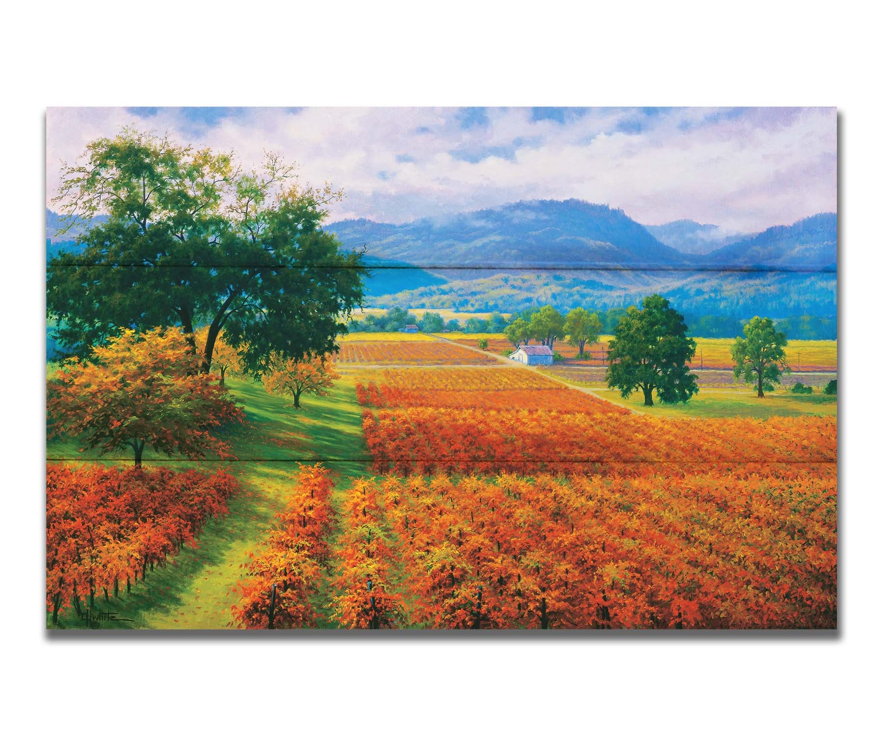 A painting of Napa Valley, California vineyards. The vibrant orange crops against the lush green grass create a picturesque landscape. Printed on a box board.