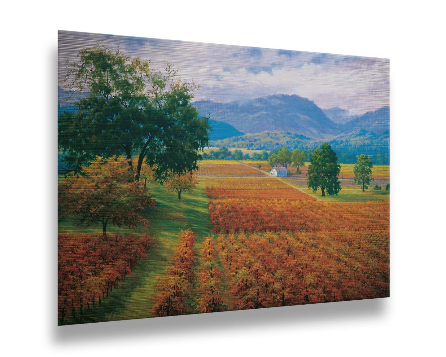 A painting of Napa Valley, California vineyards. The vibrant orange crops against the lush green grass create a picturesque landscape. Printed on metal.